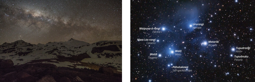 Matariki Collage 2025.png